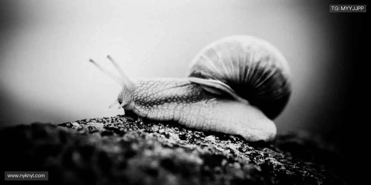 🎨潮流设计，让运动成为时尚标签！👕