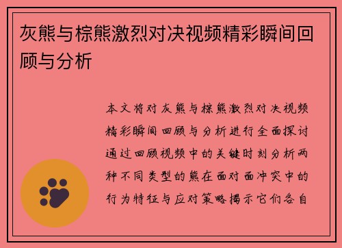 灰熊与棕熊激烈对决视频精彩瞬间回顾与分析